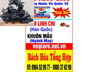 Vé máy bay đồng loạt khuyến mại mùa dịch Vé máy bay đồng loạt khuyến mại mùa dịch
