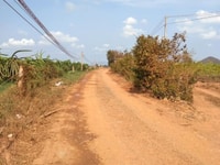 Bán 5.2ha đất CLN tại Tiến Thành thành phố Phan Thiết Bán 5.2ha đất CLN tại Tiến Thành thành phố Phan Thiết