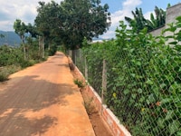 Bán lô đất 8x36m có 100 m2 thổ cư Tại Đông Thanh, Lâm Hà, Lâm Đồng Bán lô đất 8x36m có 100 m2 thổ cư Tại Đông Thanh, Lâm Hà, Lâm Đồng