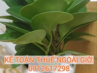 Kế toán ngoài giờ, uy tín, trách nhiệm, chi phí hợp lý. Kế toán ngoài giờ, uy tín, trách nhiệm, chi phí hợp lý.