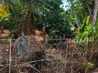 Bán đất hẻm 383 Nguyễn Văn Cừ, dt: 5 x 30m, giá: 1,1 tỷ Bán đất hẻm 383 Nguyễn Văn Cừ, dt: 5 x 30m, giá: 1,1 tỷ