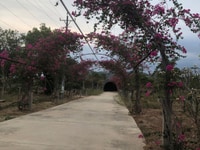 Bán 100Hecta Đất( tư nhân)QL55+QL1A xã Sông Phan H.Hàm Tân Bình Thuận Bán 100Hecta Đất( tư nhân)QL55+QL1A xã Sông Phan H.Hàm Tân Bình Thuận