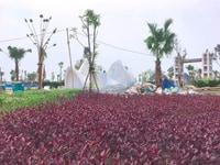Bán nhanh mấy lô đất đẹp khu vực công viên và sông dự án Tnr Diễn Châu Bán nhanh mấy lô đất đẹp khu vực công viên và sông dự án Tnr Diễn Châu