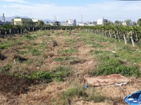 Bán lô đất 1400m2 Mặt Tiền kênh thoát lũ, Phong Nẫm, Tp.Phan Thiết Bán lô đất 1400m2 Mặt Tiền kênh thoát lũ, Phong Nẫm, Tp.Phan Thiết