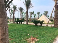 Bán đất nền phân lô TNR Stars Diễn Châu Bán đất nền phân lô TNR Stars Diễn Châu