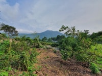 Cần bán gấp lô đất thổ, tại Lương Sơn, Hòa Bình, diện tịch 4500m2. Cần bán gấp lô đất thổ, tại Lương Sơn, Hòa Bình, diện tịch 4500m2.