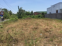 Bán 2 thửa đất liền kề xã tân thuận bình huyện chợ gạo 570m có 296mthổ Bán 2 thửa đất liền kề xã tân thuận bình huyện chợ gạo 570m có 296mthổ