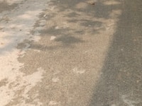 Nhà hẻm đường Huỳnh Tấn Phát, thị trấn nhà bè1 L Nhà hẻm đường Huỳnh Tấn Phát, thị trấn nhà bè1 L