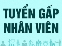 Trường Mầm Non Vạn Phúc cần tuyển các vị trí: