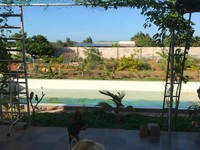 Bán đất nghỉ dưỡng sổ đỏ chính chủ phan thiết mũi né Bán đất nghỉ dưỡng sổ đỏ chính chủ phan thiết mũi né