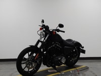Harley-Davidson Sportster Iron 883 XL883N Data 2019 New 100% Harley-Davidson Sportster Iron 883 XL883N Data 2019 New 100%