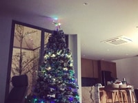 Bán biệt thự MT Hồ Biểu Chánh, P11, Q. Phú Nhuận DT: 12x17.7m Bán biệt thự MT Hồ Biểu Chánh, P11, Q. Phú Nhuận DT: 12x17.7m