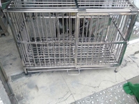 Chuồng chó inox 50 x 100 miễn phí vận chuyển TPHCM Chuồng chó inox 50 x 100 miễn phí vận chuyển TPHCM