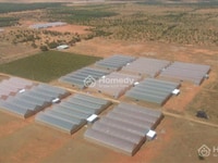 Cần Bán lô đất Bình Thuận 4000 m2 giá 230 triệu Cần Bán lô đất Bình Thuận 4000 m2 giá 230 triệu