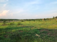 Đất an cơ châu thành giá rẻ có thổ cư Đất an cơ châu thành giá rẻ có thổ cư