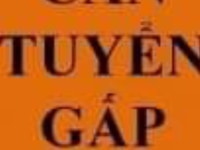 Siêu thị mini cần tuyển gấp nhân viên bán hàng Siêu thị mini cần tuyển gấp nhân viên bán hàng