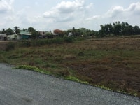 Bán đất vườn 1.000m2 mặt tiền Láng Cát, Tân Nhựt, Bình Chánh. Bán đất vườn 1.000m2 mặt tiền Láng Cát, Tân Nhựt, Bình Chánh.