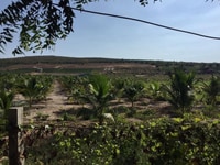 Bán 1ha đất nông nghiệp sông luỹ bắc bình gần Safari 3300ha chỉ 650tr Bán 1ha đất nông nghiệp sông luỹ bắc bình gần Safari 3300ha chỉ 650tr