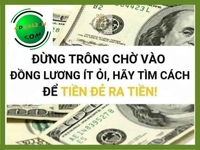 Cần tìm đối tác đầu tư toà nhà văn phòng cho thuê lại Cần tìm đối tác đầu tư toà nhà văn phòng cho thuê lại