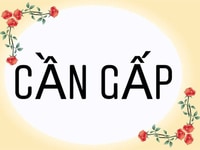 📣tuyển gấp📣Nam/Nữ nhân viên bán hàng trực tiếp tại chi nhánh‼️‼️‼️ 📣tuyển gấp📣Nam/Nữ nhân viên bán hàng trực tiếp tại chi nhánh‼️‼️‼️