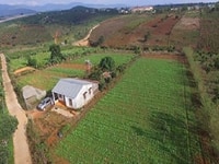 Bán đất nông nghiệp xã Đan Phượng - Lâm Hà - TP Đà Lạt Bán đất nông nghiệp xã Đan Phượng - Lâm Hà - TP Đà Lạt