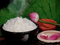 Tìm đại lý phân phối gạo sạch khu vực tphcm Tìm đại lý phân phối gạo sạch khu vực tphcm