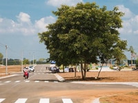 Đất Nền Vị Trí Đắc Địa Nhất Tp.Bảo Lộc, Thổ Cư, Sổ Đỏ Đất Nền Vị Trí Đắc Địa Nhất Tp.Bảo Lộc, Thổ Cư, Sổ Đỏ