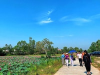 Cần Bán Lô đất Khu Du lịch Bồ Bồ View sen tuyệt đẹp Cần Bán Lô đất Khu Du lịch Bồ Bồ View sen tuyệt đẹp