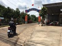 Bán nhà vườn cách QL1A 200m,sổ riêng, thổ cư. Bán nhà vườn cách QL1A 200m,sổ riêng, thổ cư.