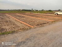 Sang nhượng chính chủ - Đất thị trấn Đức Hòa , MT đường 10m chỉ 275tr Sang nhượng chính chủ - Đất thị trấn Đức Hòa , MT đường 10m chỉ 275tr