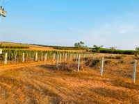 Đầu tư đất nông nghiệp giá rẻ, sổ đỏ, đảm bảo sinh lời trong tương lai Đầu tư đất nông nghiệp giá rẻ, sổ đỏ, đảm bảo sinh lời trong tương lai