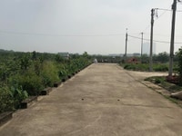 Bán đất Đấu Giá Kim Chung - Hoài Đức Bán đất Đấu Giá Kim Chung - Hoài Đức