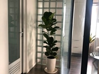Bán nhanh căn hộ 2PN 2WC Xi Grand Court Quận 10 đầy đủ nội thất Bán nhanh căn hộ 2PN 2WC Xi Grand Court Quận 10 đầy đủ nội thất
