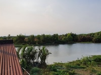 Tôi chính chủ cần bán lô đất mặt sông giá cạnh tranh tại Nhơn Trạch Tôi chính chủ cần bán lô đất mặt sông giá cạnh tranh tại Nhơn Trạch