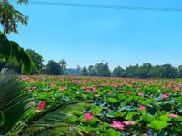 Đất nền dự án giá đâu tư hặp lý Đất nền dự án giá đâu tư hặp lý