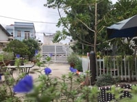 Biet Thu San Vuon Trung Tam Pho Ly Thuong Kiet Hoc Mon