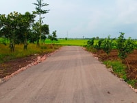 Bán đất tp long khánh,shr,trồng cây ăn trái. vuông,bằng phẳng Bán đất tp long khánh,shr,trồng cây ăn trái. vuông,bằng phẳng