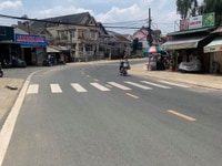 Bán nhà đang kinh doanh homestay đường Phan Chu Trinh,P9,Đà Lạt Bán nhà đang kinh doanh homestay đường Phan Chu Trinh,P9,Đà Lạt