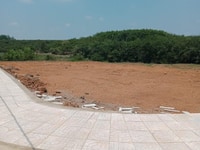 Bán Đất Mặt Tiền Đường Phạm Ngọc Thạch , huyện Đồng Phú Bán Đất Mặt Tiền Đường Phạm Ngọc Thạch , huyện Đồng Phú