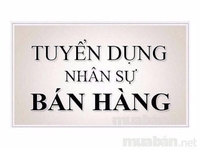 Tuyển nhân viên bán hàng kiểm tra hàng tại Tân Phú Tuyển nhân viên bán hàng kiểm tra hàng tại Tân Phú