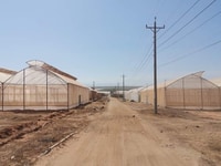 5000m2 đất trang trại Bình Thuận chỉ 350 triệu, tặng 3 chỉ vàng 5000m2 đất trang trại Bình Thuận chỉ 350 triệu, tặng 3 chỉ vàng