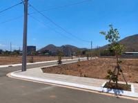 Cần vốn làm ăn bán lổ lô đất ngay Coopmat đường trường trinh 45m Cần vốn làm ăn bán lổ lô đất ngay Coopmat đường trường trinh 45m