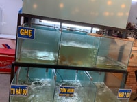 Thanh Lý Bàn Ghế Và Hồ Thuỷ Sản Quán Nhậu Thanh Lý Bàn Ghế Và Hồ Thuỷ Sản Quán Nhậu