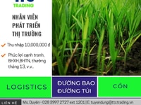 Nhân viên Phát triển thị trường ( sp đường cát) Nhân viên Phát triển thị trường ( sp đường cát)