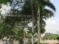 252m2 có 100m thổ cư tại Thủ Dầu Một 252m2 có 100m thổ cư tại Thủ Dầu Một