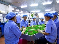 Tuyển Công nhân sản xuất Kem Tràng Tiền Tuyển Công nhân sản xuất Kem Tràng Tiền