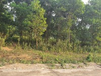 Cần chuyển nhượng 6500m2 đất mặt hồ vị trí đẹp làm Homestay Cần chuyển nhượng 6500m2 đất mặt hồ vị trí đẹp làm Homestay