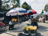 Qua Mỹ Đinh cư cần sang lại 300m2 đất thổ cư,Sổ Hồng,Dân Cư Đông Qua Mỹ Đinh cư cần sang lại 300m2 đất thổ cư,Sổ Hồng,Dân Cư Đông