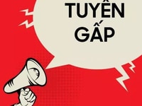 Cần Tuyển 10 Nhân Viên thời vụ và chăm sóc hàng hóa
