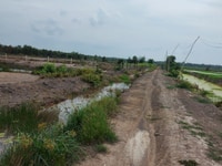 Bán đất kênh trung ương 1000m2 giá 400tr , Bình Chánh Bán đất kênh trung ương 1000m2 giá 400tr , Bình Chánh